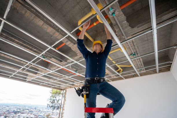 Best Commercial Plumbing Services  in Maple Plain, MN