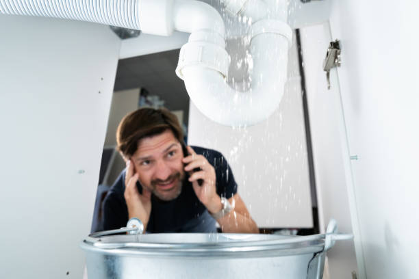 Best Water Leak Repair  in Maple Plain, MN